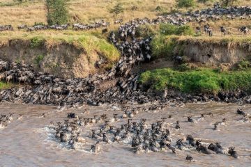 8-day Migration Safari Masai Mara and Serengeti