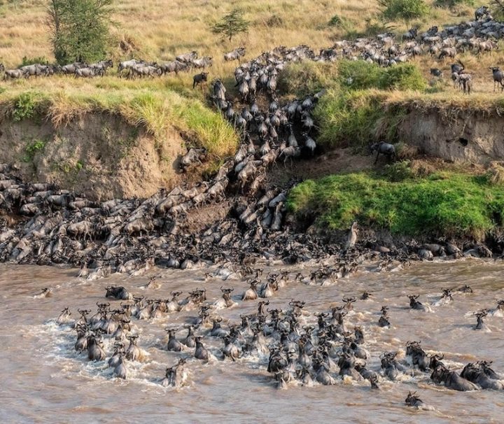 8-day Migration Safari Masai Mara and Serengeti