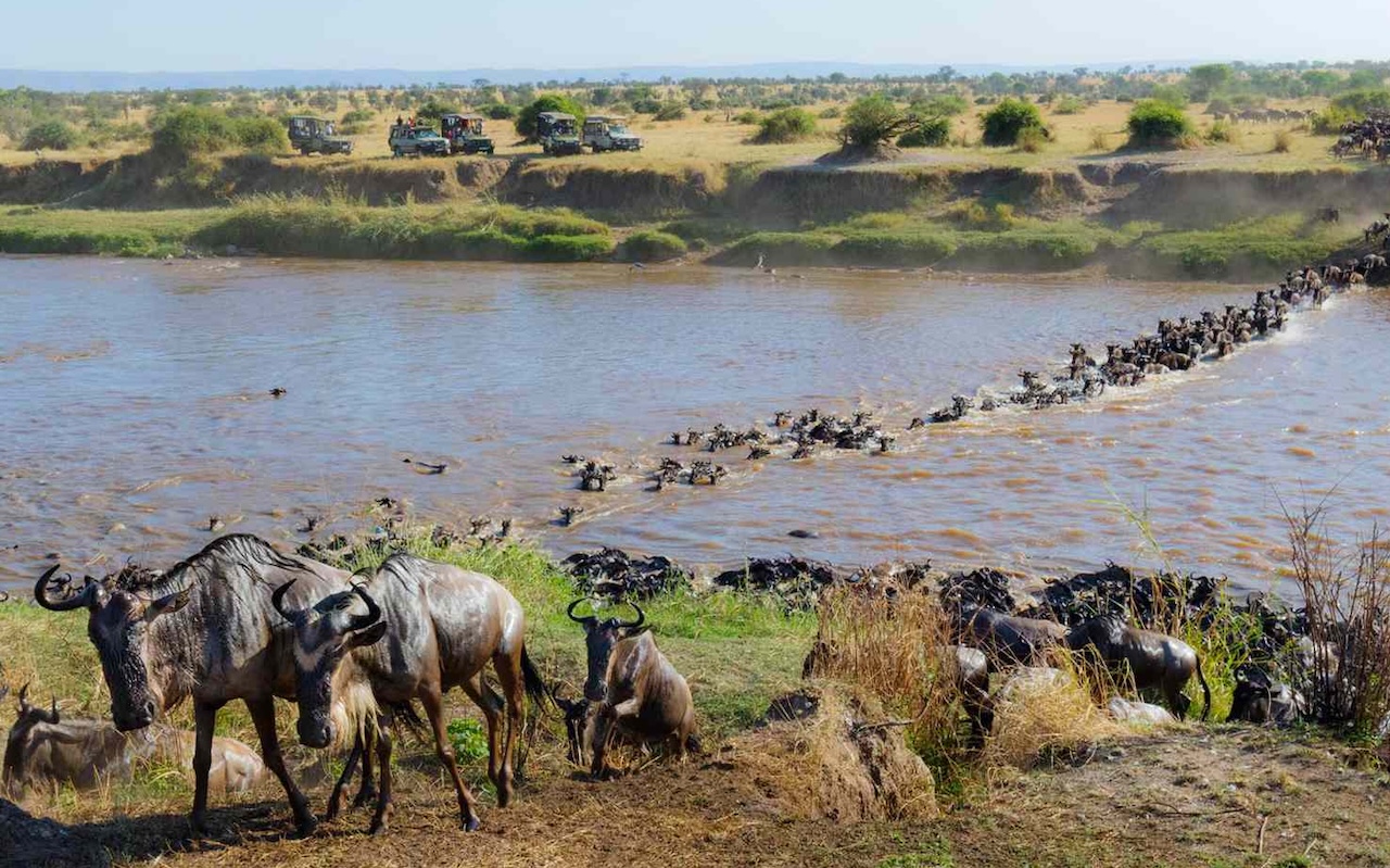 10-Day Kenya Tanzania Luxury Safari