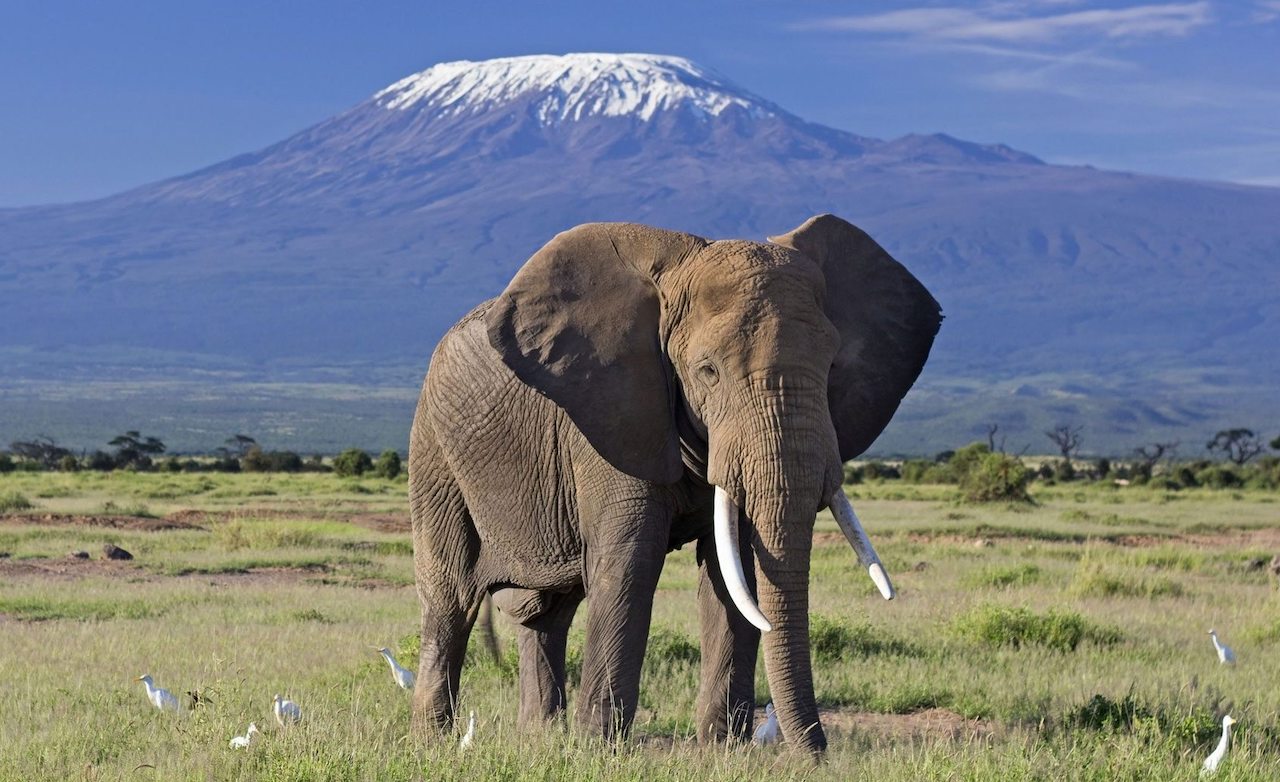 Amboseli National Park Home