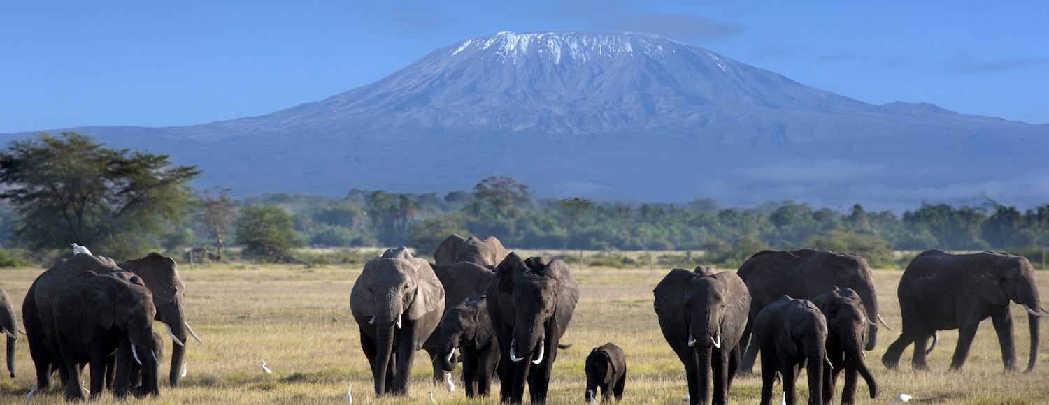 Amboseli National Park, Kenya