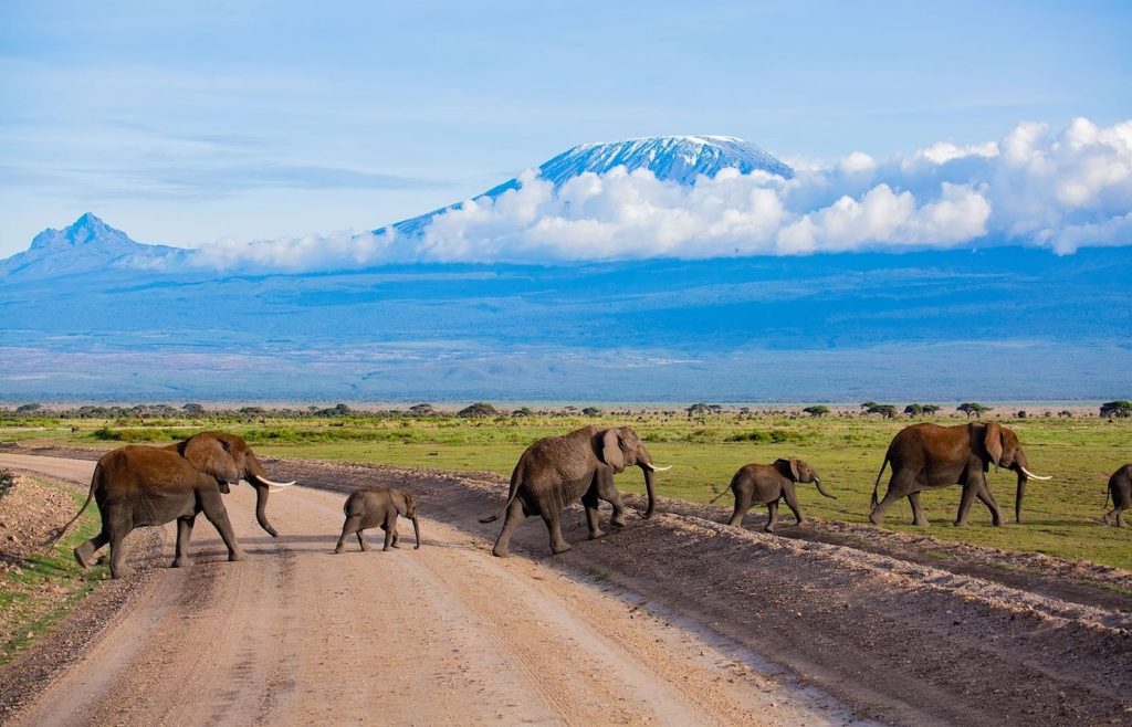 Kenya Tanzania Destination Amboseli