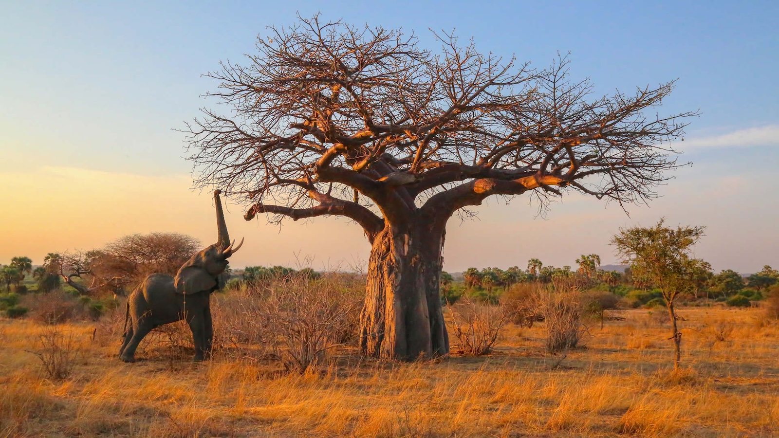 The Best Kenya & Tanzania Destinations