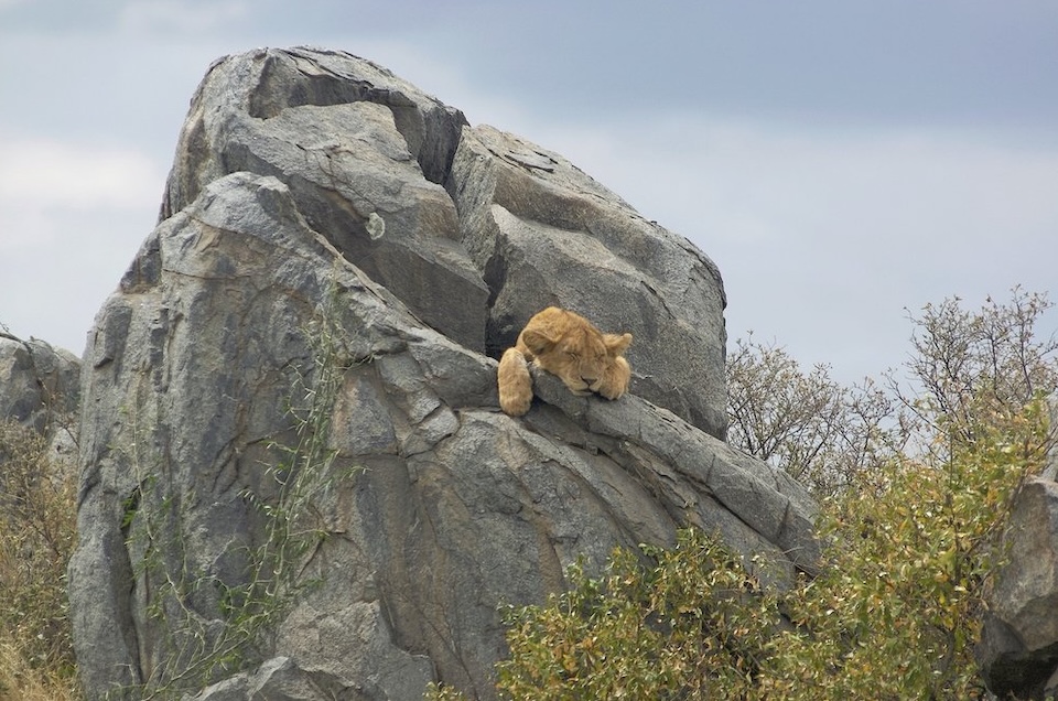 Kopjes in Serengeti