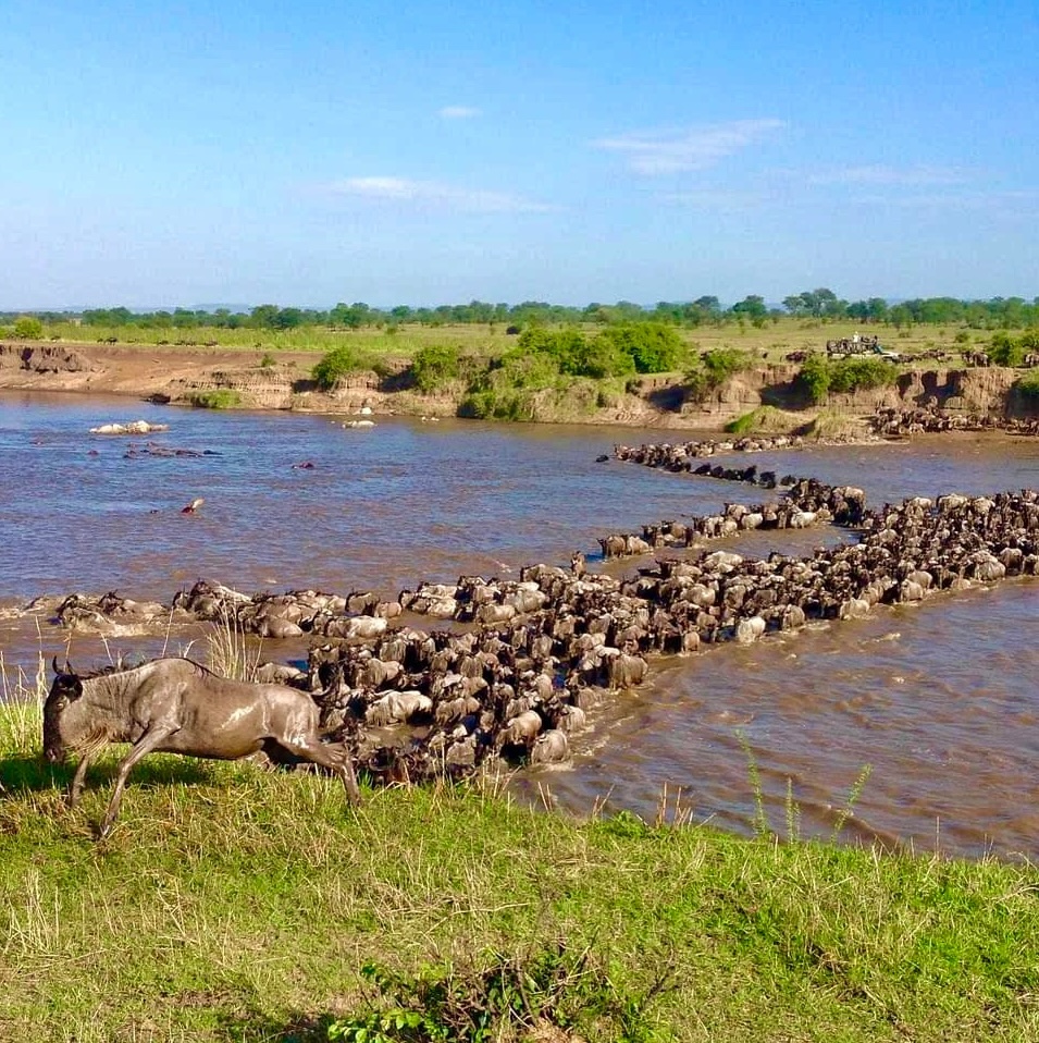 Mara River Serengeti