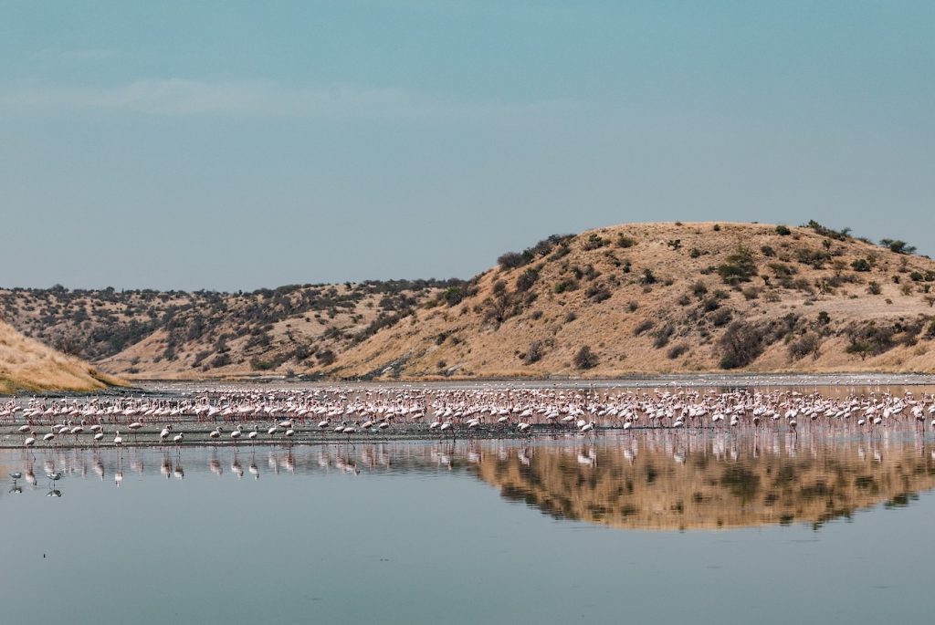 Ngorongoro Geography Lake Makat