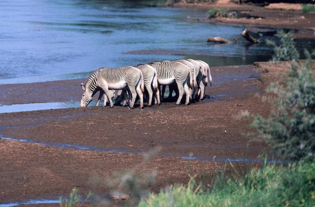 Kenya Tanzania Destinations