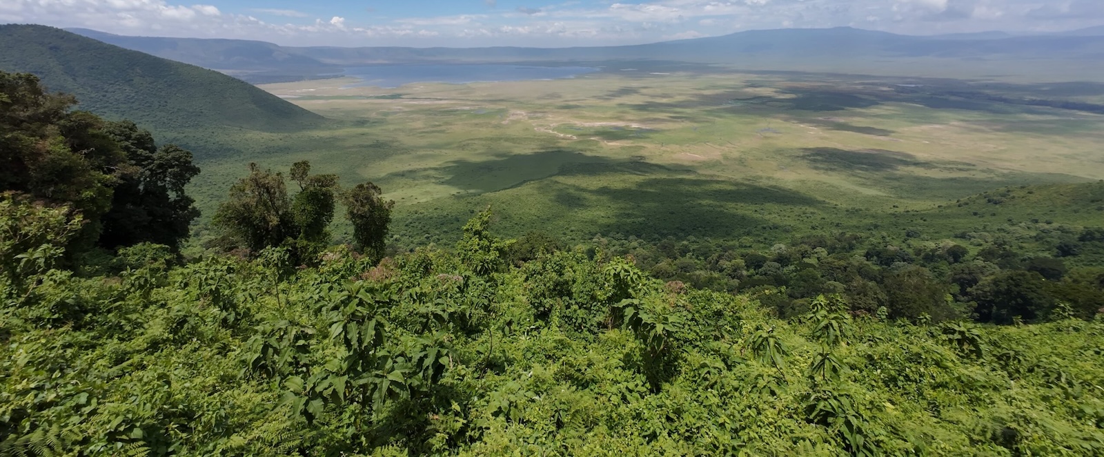 Ngorongoro Crater: The Ultimate Guide to The Ngorongoro Crater
