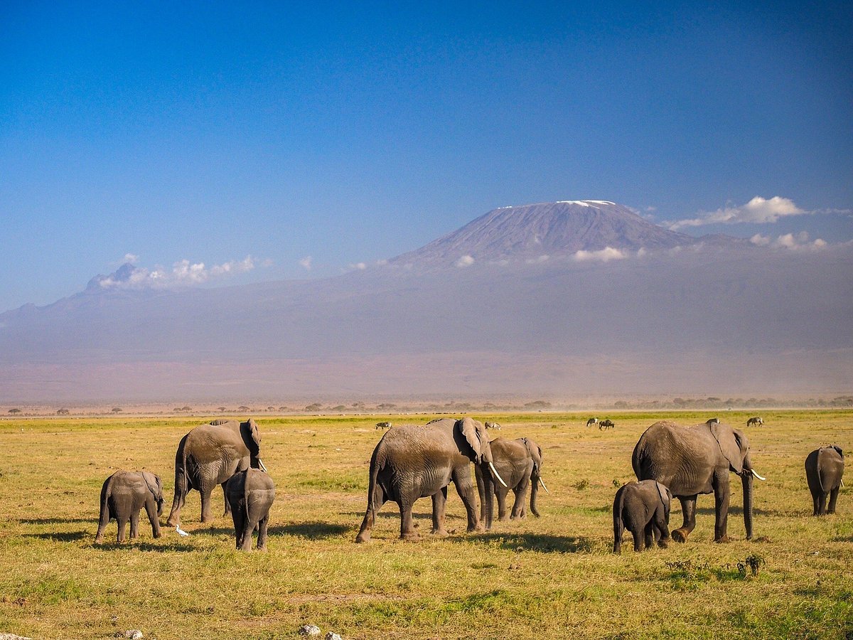 Top 5 parks to visit in Kenya Tanzania