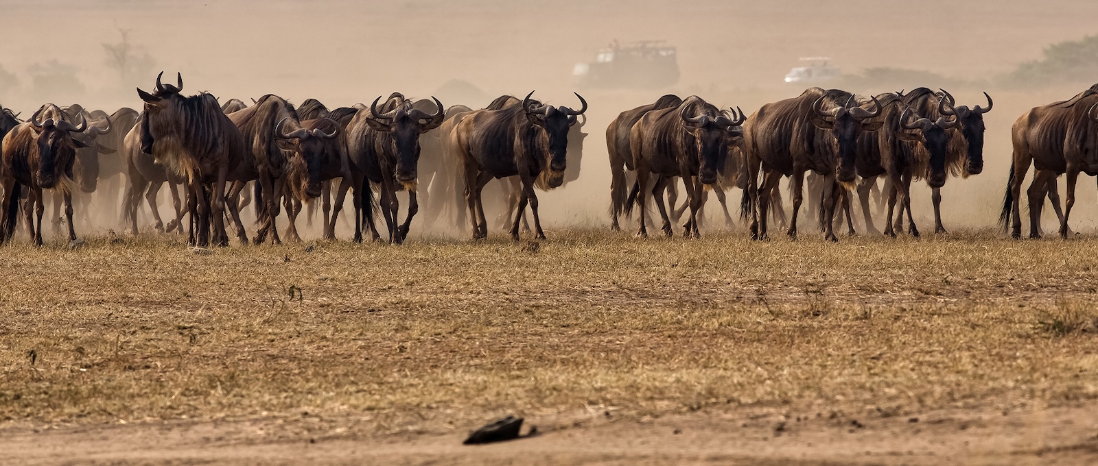 14-Day Kenya & Tanzania Safari with Zanzibar Beach Extension