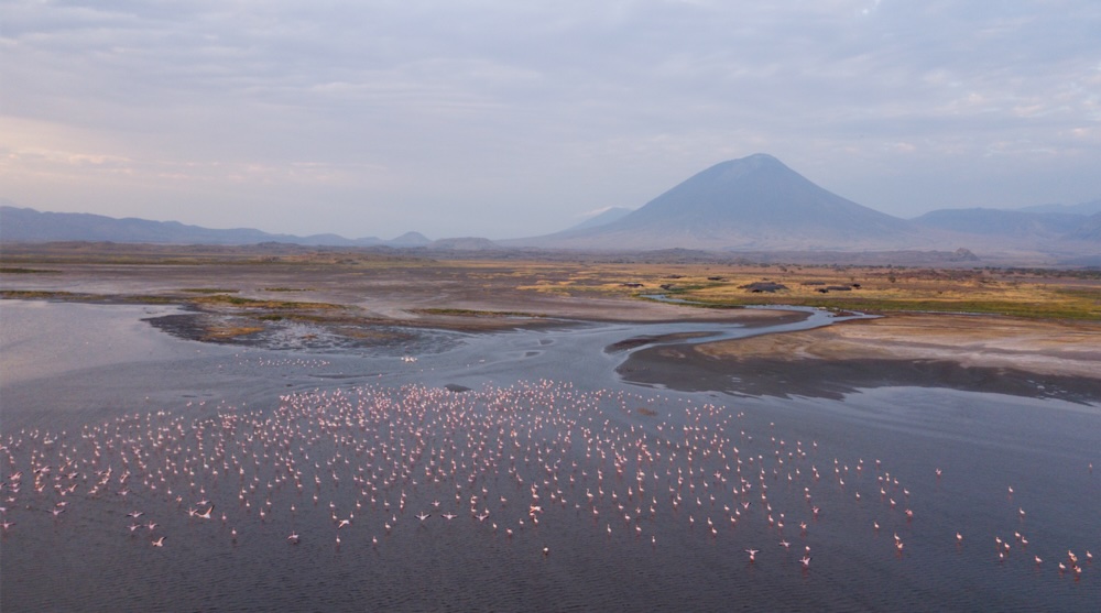 10-day Tanzania Safari Off-The-Beaten Path