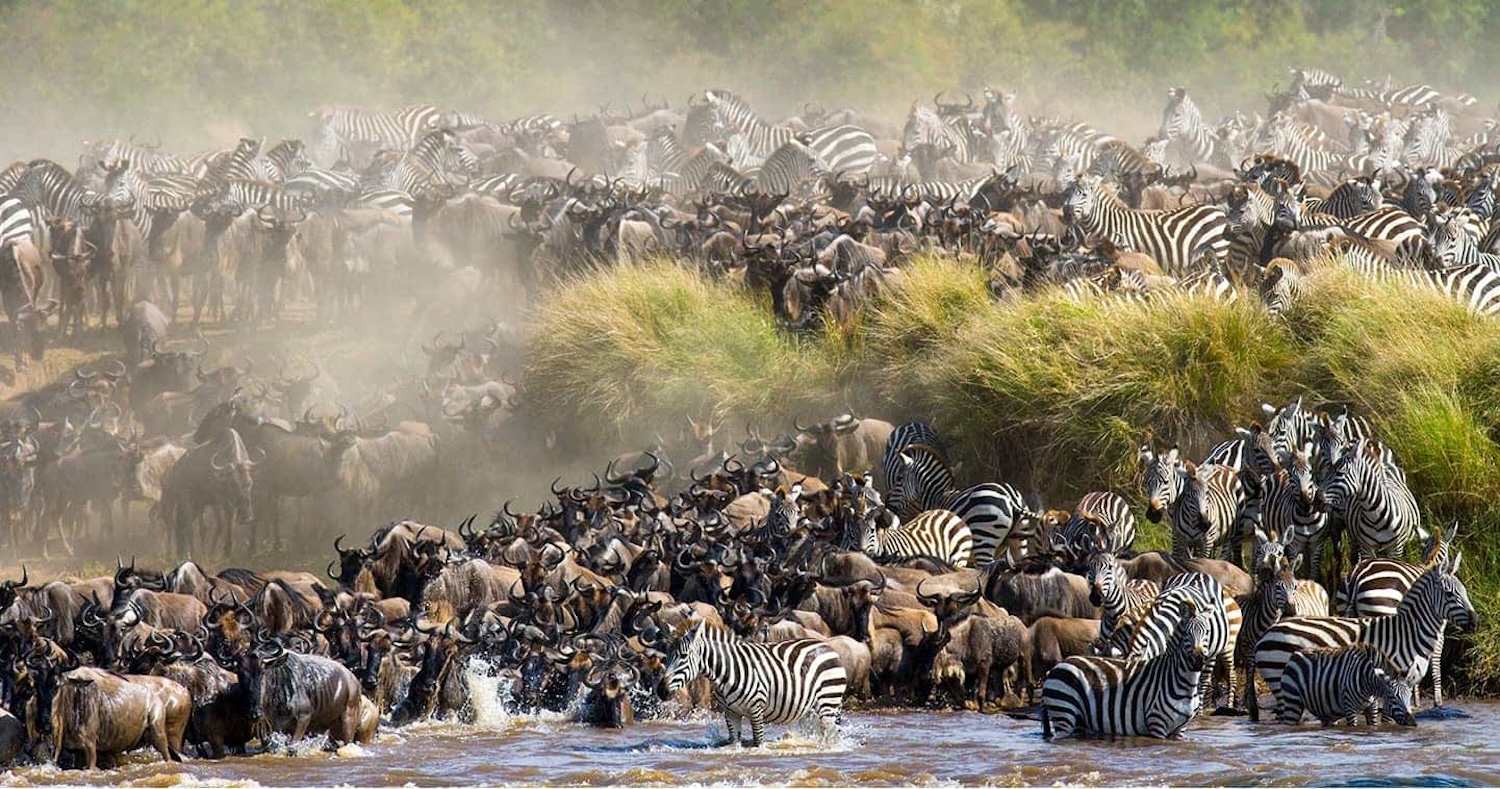 4-day Kenya safari – Lake Nakuru & Masai Mara